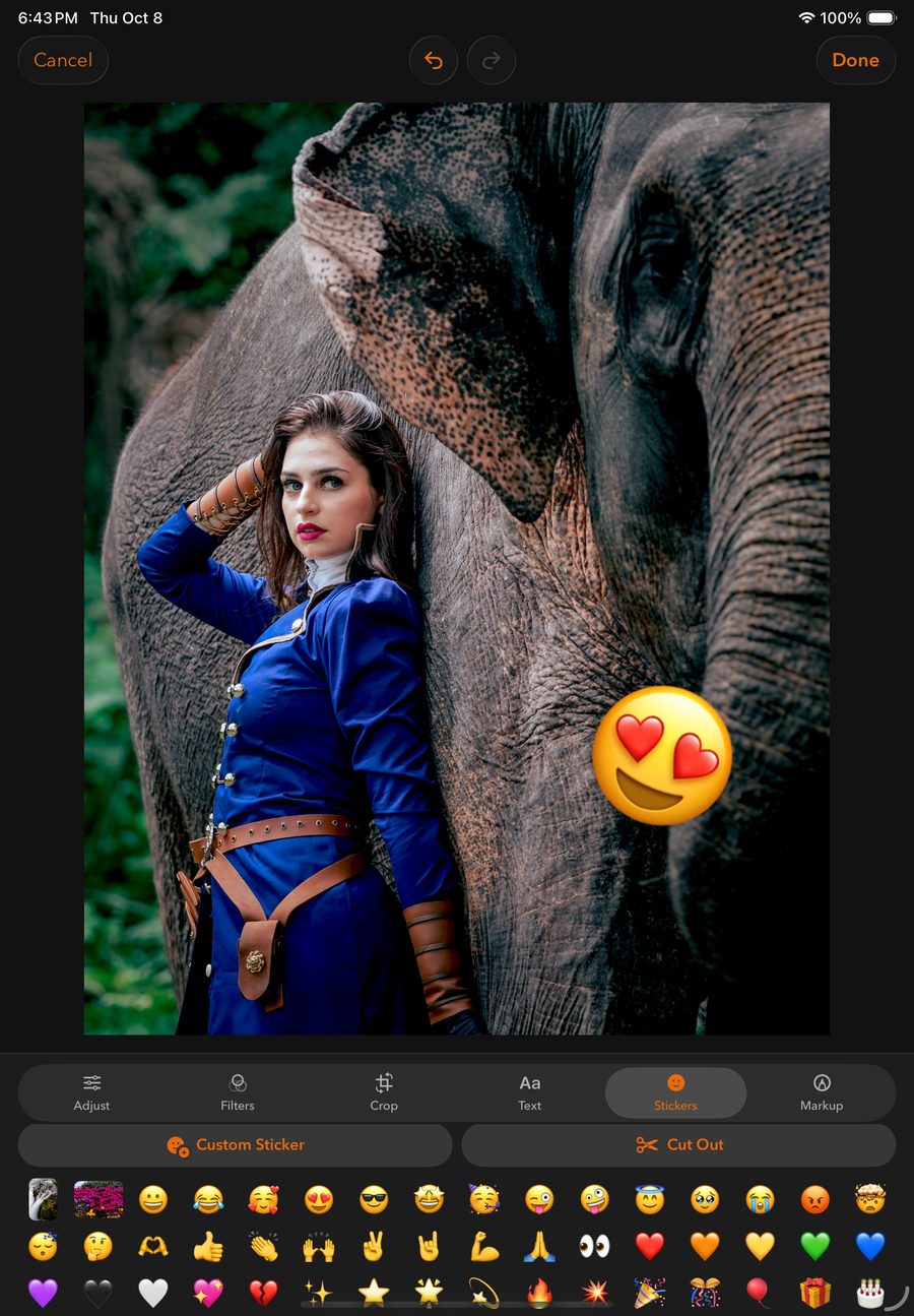 Editor on iPad with stickers on a portrait